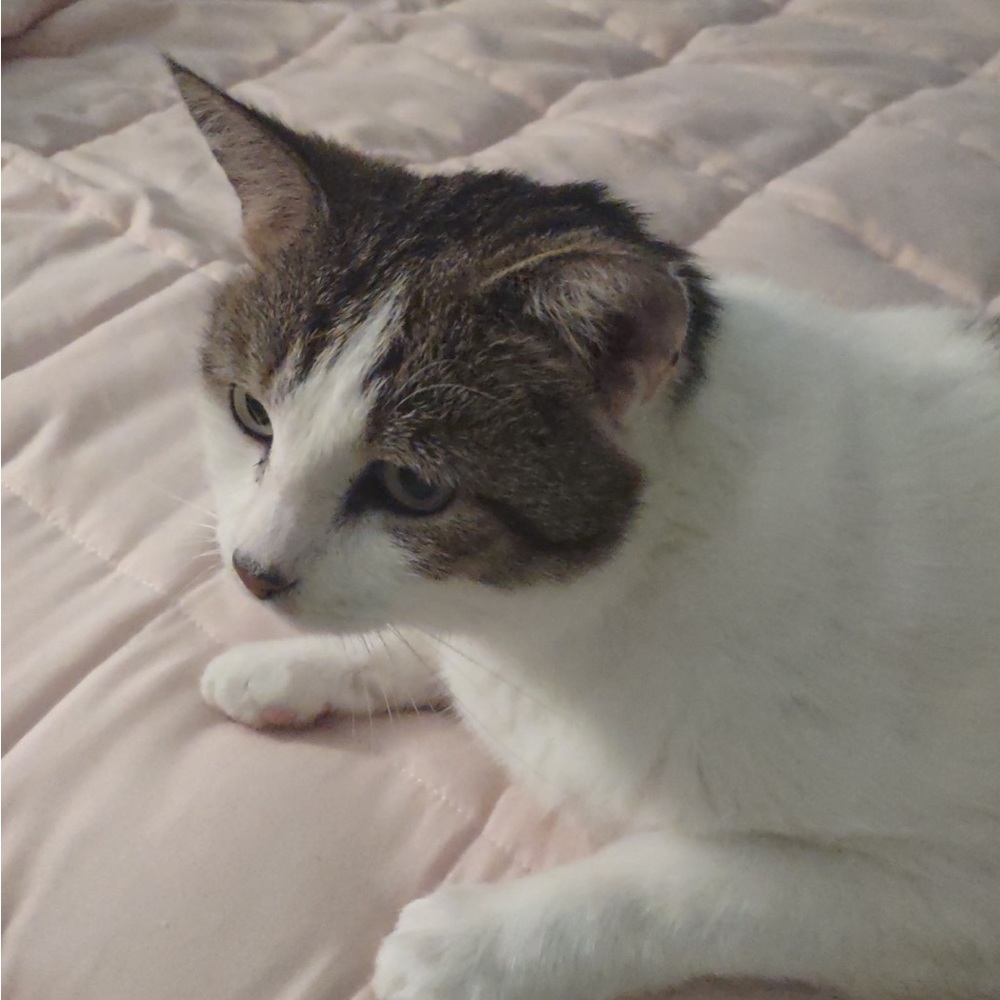 Meet your Posher, Brynlee